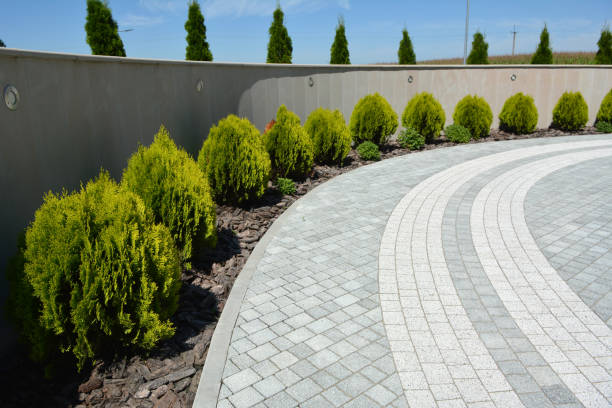 Best Concrete Paver Driveway  in Meridian, MS